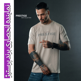 تیشرت مردانه کد 362002